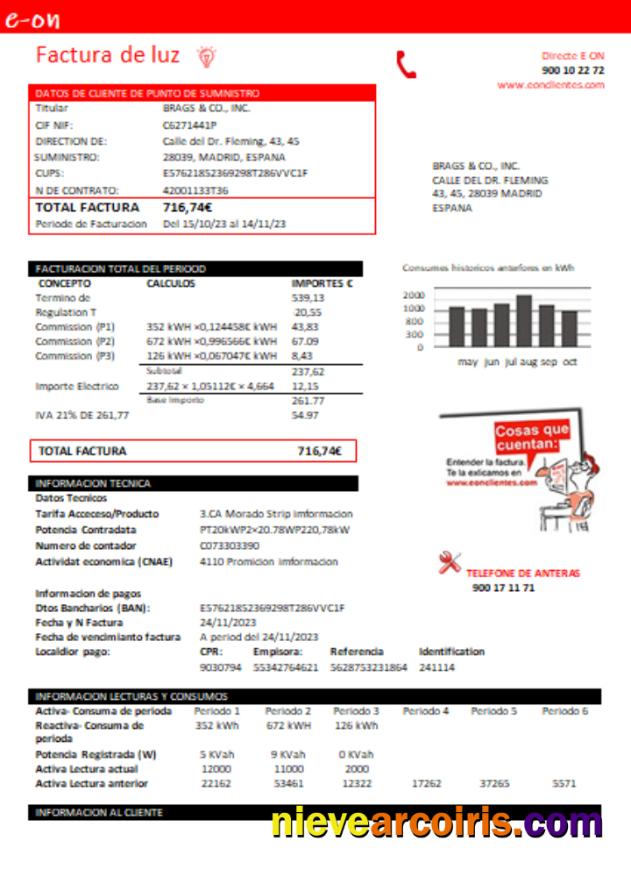 E.ON Spain electricity utility business bill